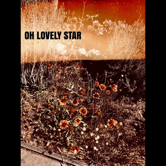 Framed Print * Original Photography - Picture 6 of 14